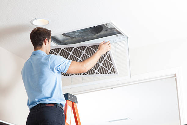 Best Best HVAC Companies  in Woodville, OH